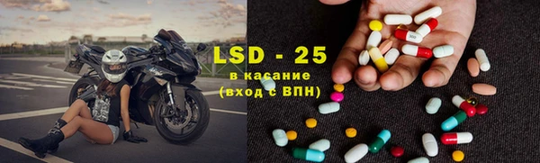 гашик Аркадак