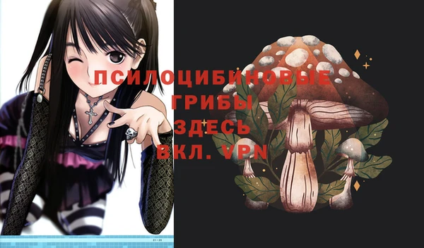 дживик Армянск