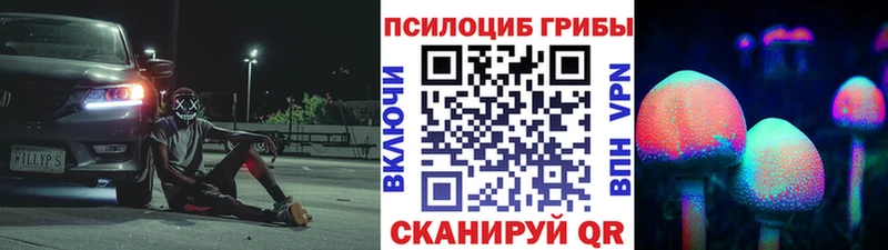 где продают наркотики  Вилючинск  Псилоцибиновые грибы Psilocybe 