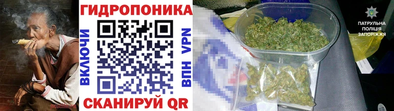 наркошоп  Вилючинск  Марихуана White Widow 